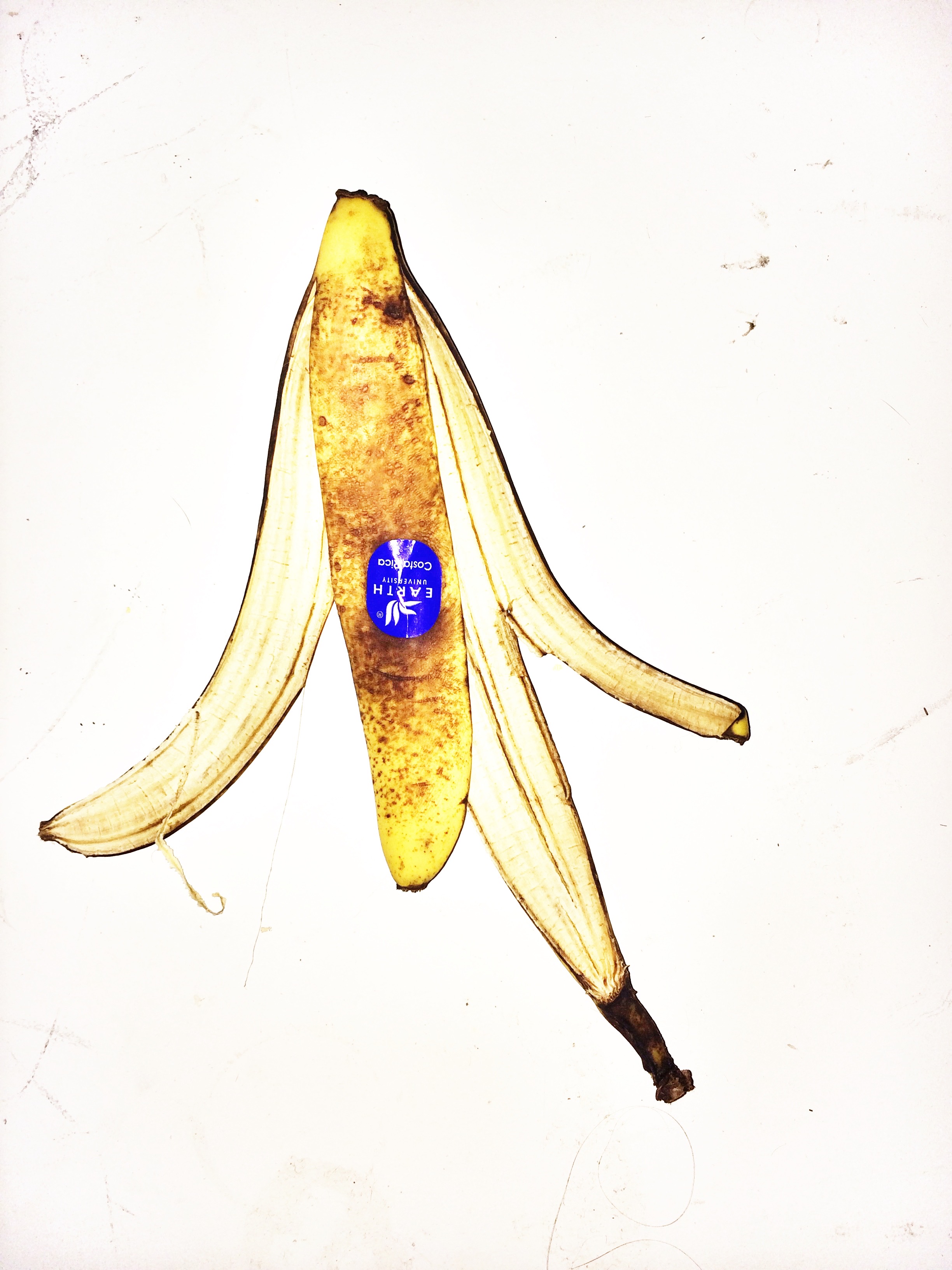 Banana peel, shot with hard flash